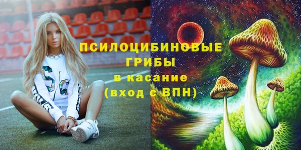 крисы Алексеевка