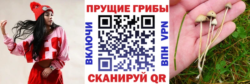 как найти закладки  Тверь  дарк нет клад  Галлюциногенные грибы ЛСД 