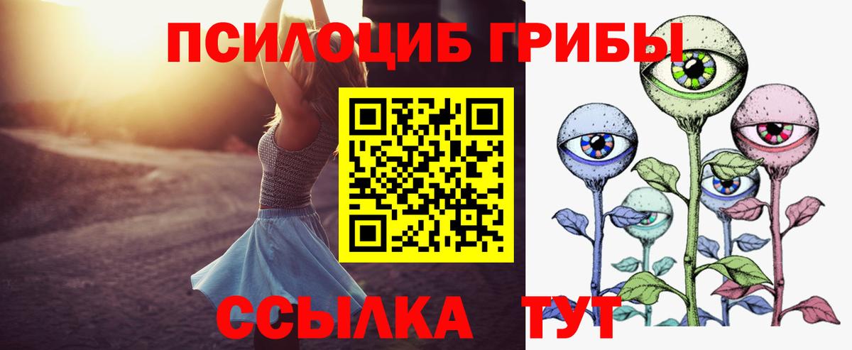 Псилоцибиновые грибы MAGIC MUSHROOMS  Псилоцибиновые грибы прущие грибы  Тверь  Вход с VPN 