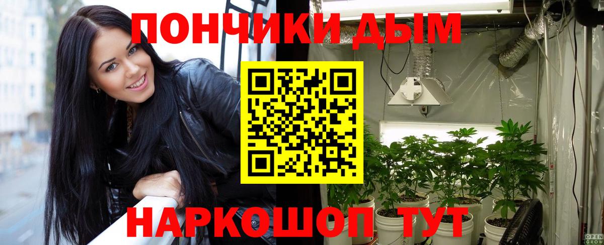 Бошки Шишки ГИДРОПОН  Вход с VPN  Бошки марихуана семена  МАРИХУАНА THC 21%  Тверь  Шишки марихуана SATIVA & INDICA 